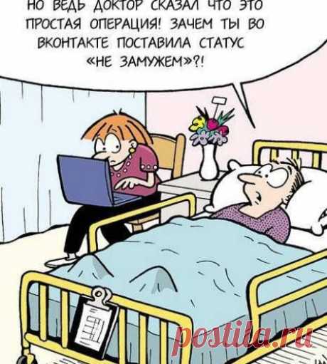 Дачный участок