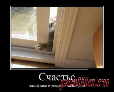 От всей души