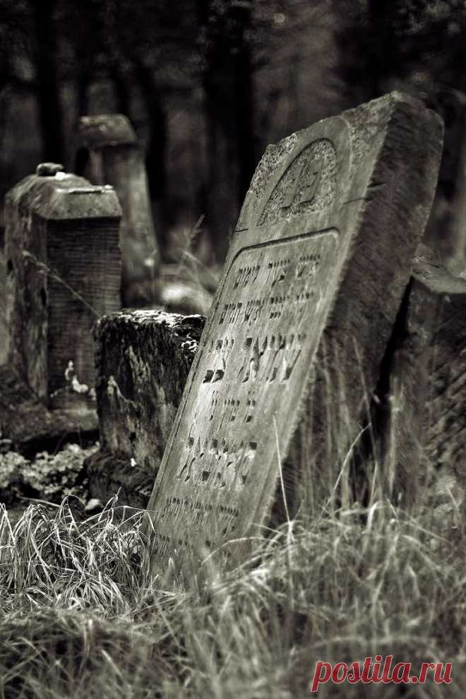 Серёга У приколол(а) это к доске Выхлоп цивилизации