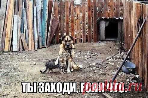Ты заходи если что )))
