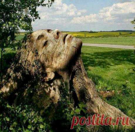 Обласканная солнцем.
