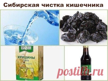 Сибирская чистка кишечника | Полезные советы!