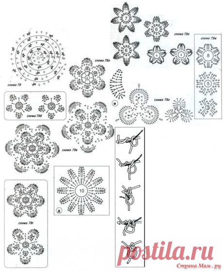 7073522_16495.jpg (988×1200)