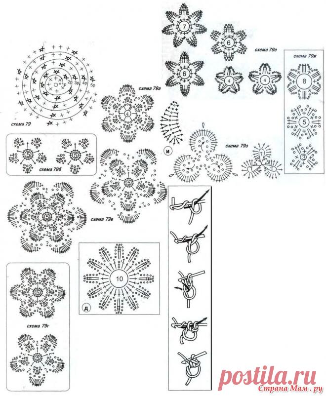 7073522_16495.jpg (988×1200)