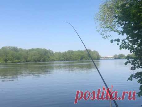 Две фундаментальные ошибки в фидерной ловле, которые оставляют новичков без улова | На бережку | Яндекс Дзен