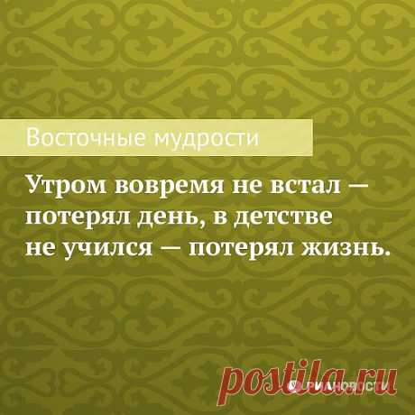 мудрость