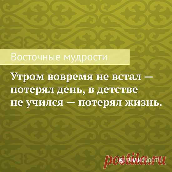 мудрость