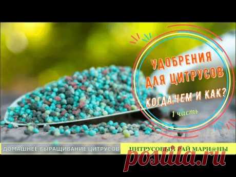 Удобрения для цитрусовых - 1 часть. Когда, чем и как? / Цитрусовый Рай МариАны - YouTube
