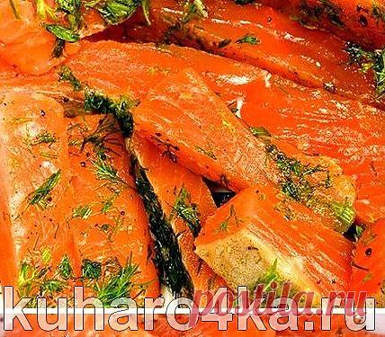 "Пьяный" лосось