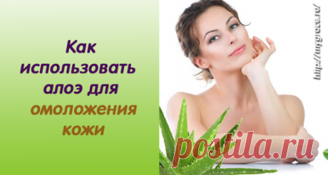 Как использовать алоэ для омоложения кожи!
