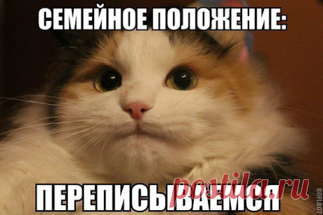 хороший ответ...