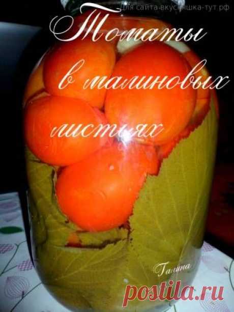 Томаты в малиновых листьях - Готовим сами