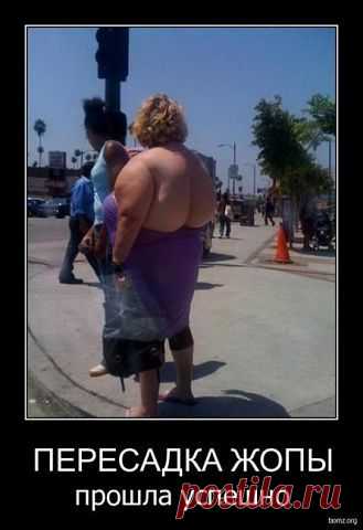 ЛЕНА ЕЛЕНА
59 лет, Россия, Москва
все её фото