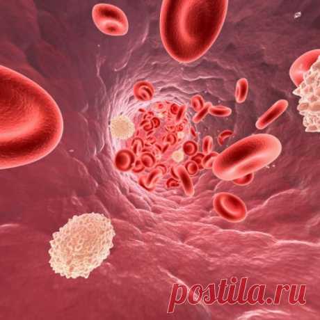 Что вы не знали про холестерин?
