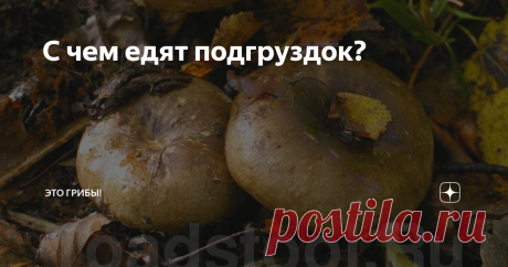 С чем едят подгруздок? Подгруздки называют "сыроежками со знаком качества". И, поверьте, это комплимент.