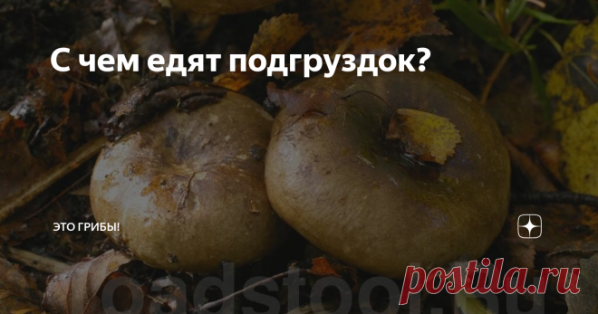 С чем едят подгруздок? Подгруздки называют 