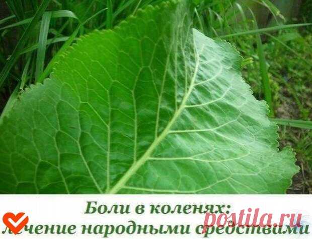 ЕCЛИ БОЛЯТ КОЛЕНИ – ЛЕЧЕНИЕ НАРОДНЫМИ CРЕДCТВАМИ... - Познавательный сайт ,,1000 мелочей