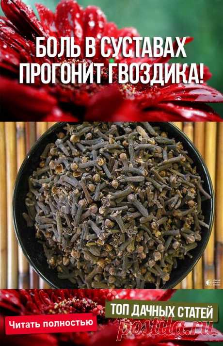 (3) Pinterest