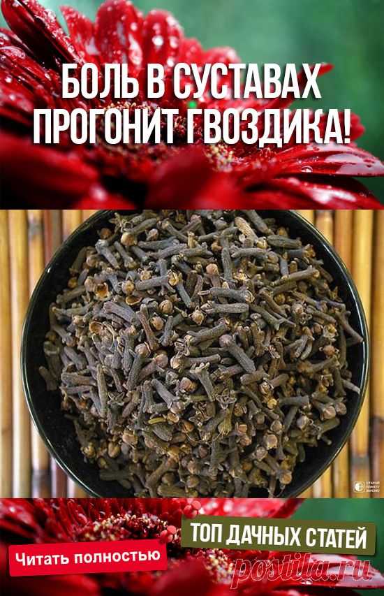 (3) Pinterest