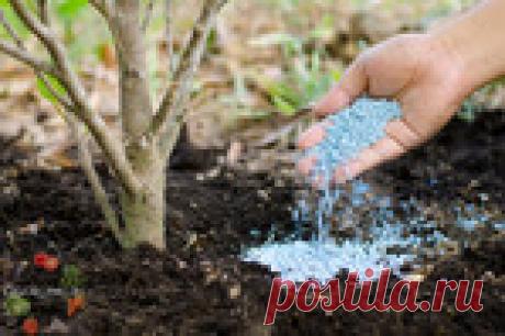 Минеральные удобрения, их виды и характеристика – что нужно знать каждому дачнику! .