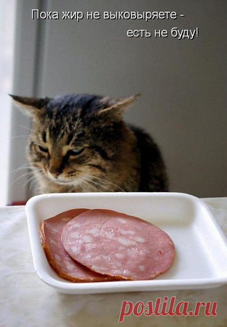 ультиматум