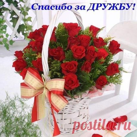 ElenaPopova123456 — альбом «Друзьям / ДРУЗЬЯМ» на Яндекс.Фотках