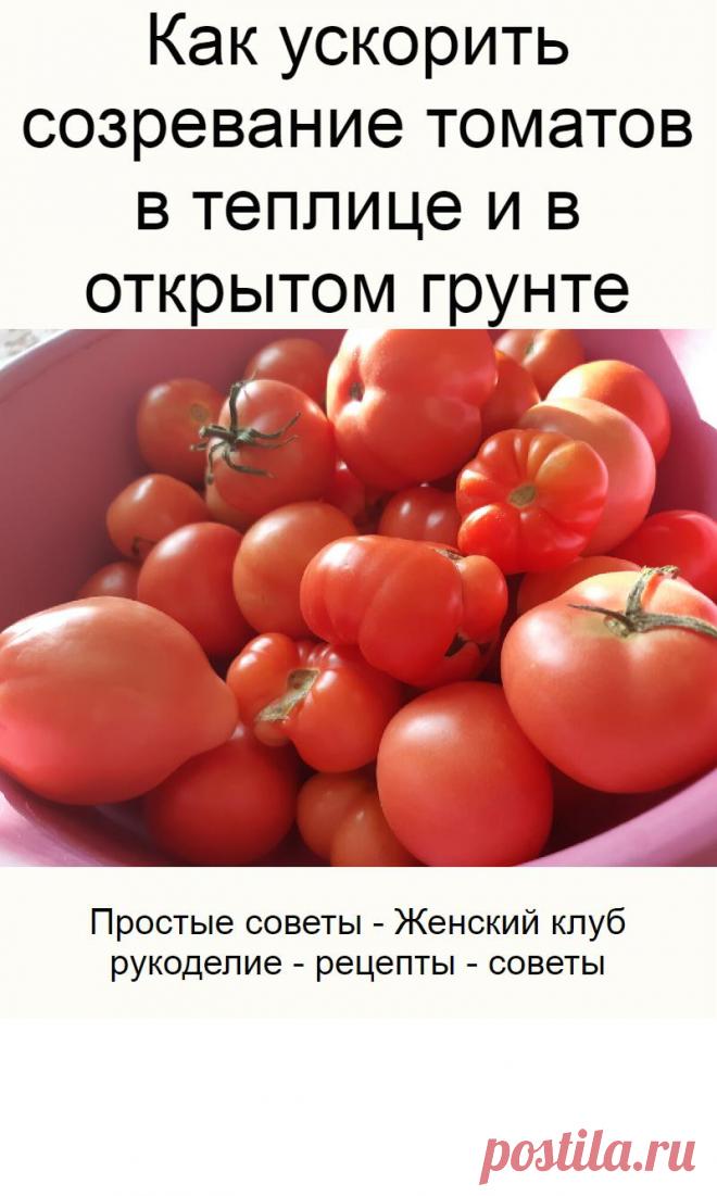 Созревание помидор. Для покраснения томатов. Как быстрее поспеть помидоры. Как быстрее поспеть помидоры. Как быстрее поспеть помидоры.