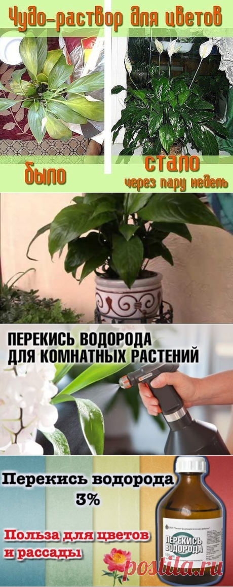 (18) Одноклассники