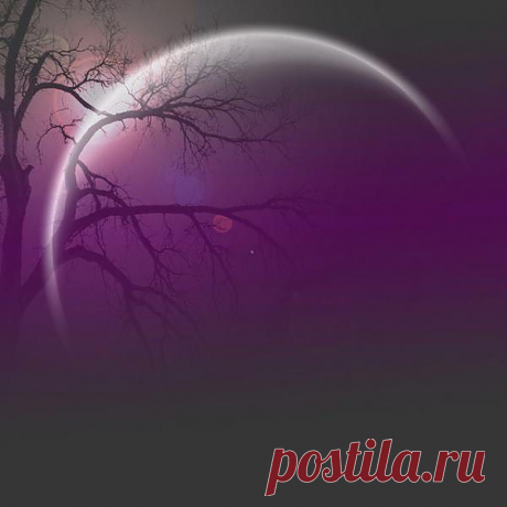 Ночь.