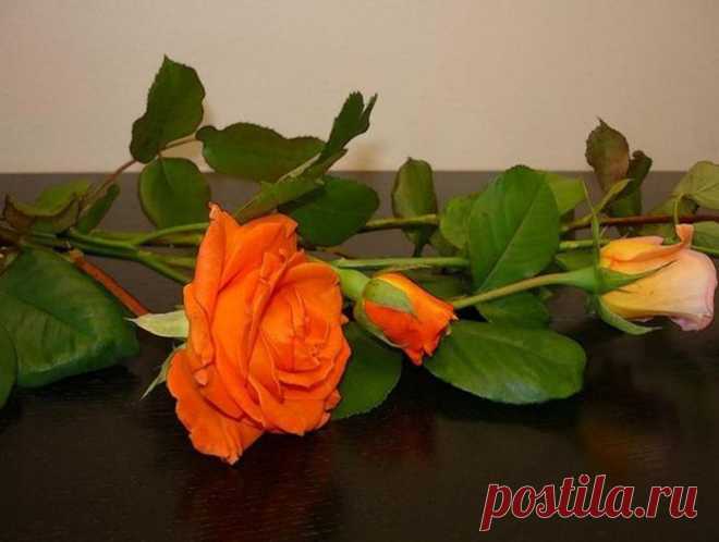 Музыка для Вас...