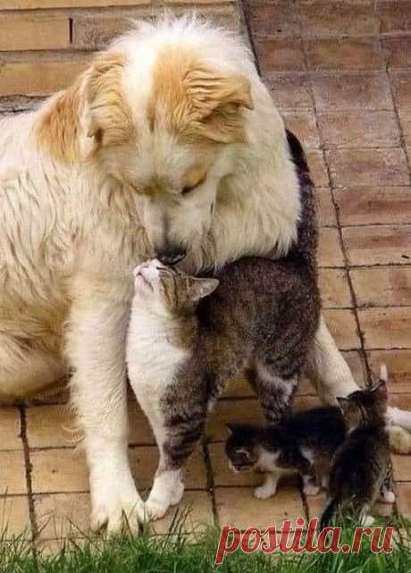 Eli 👍🌷🌺🌻🌼🍒 (@ebendavid5) / Twitter