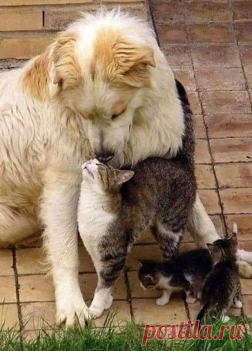 Eli 👍🌷🌺🌻🌼🍒 (@ebendavid5) / Twitter