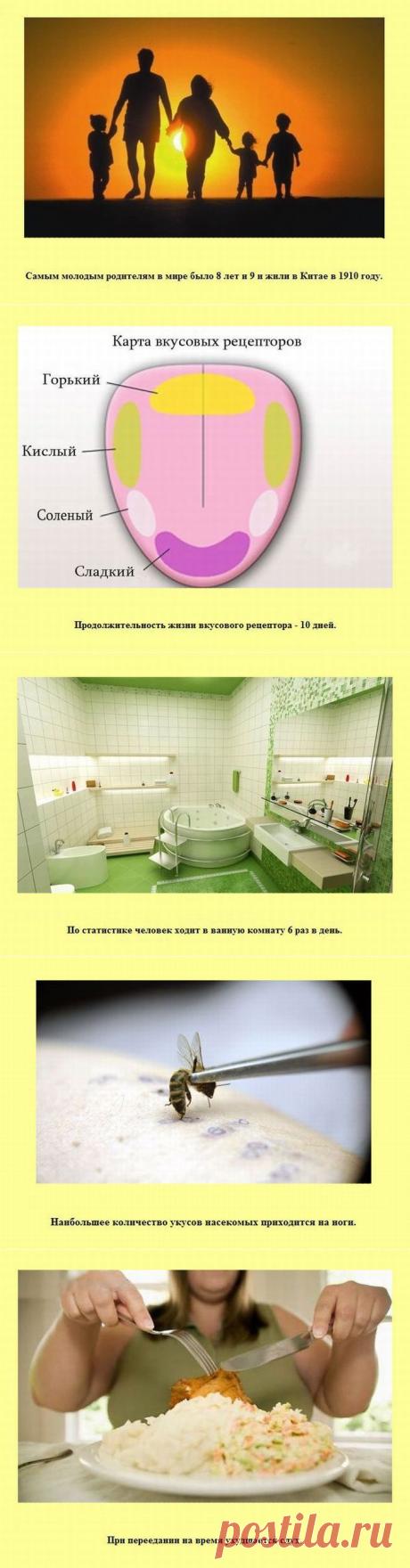 Коротко и ясно