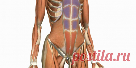 Занятия для нижнего пресса Женский портал: гороскопы, новости звезд, отношения, мода