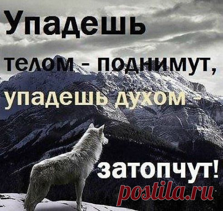 Ян Малуш
32 года, Россия, ГОРОД СНОВ