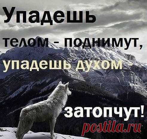 Ян Малуш
32 года, Россия, ГОРОД СНОВ