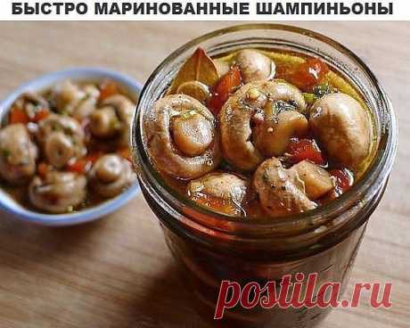 (52) Одноклассники