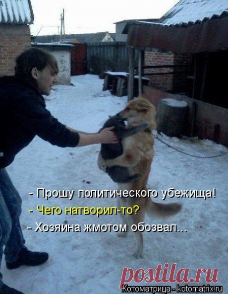 Да не оскудеет рука дающего! | KotoMail.ru