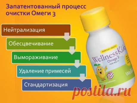 Wellness_LIFE+