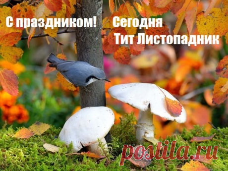 Тит Листопадник. Пусть душа остается чистой, искренней, открытой всякому благому помыслу.