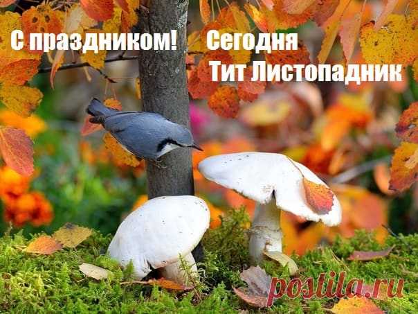 Тит Листопадник. Пусть душа остается чистой, искренней, открытой всякому благому помыслу.