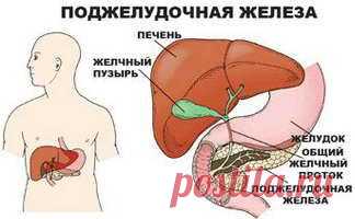 Очищение поджелудочной железы.