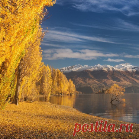 Красота осени ...