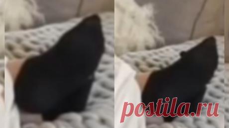 Amy-Rose Walker Feet Foot