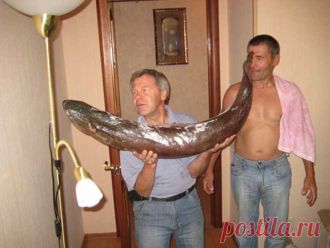 на 2 кило не дотянула до "Путинской"