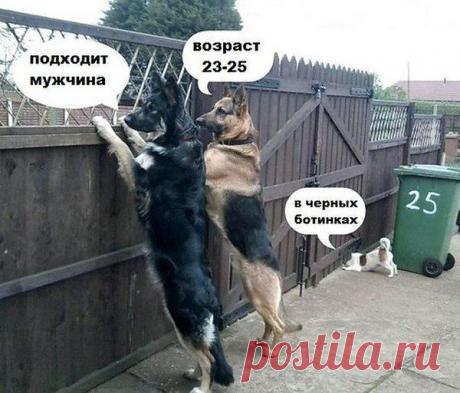 Наталья: Если ты противница покоя, значит ты пока что молода. И покуда верится, что можешь одолеть любой крутой подъем, ты на 10 лет моложе возраста, что в паспорте твоем.