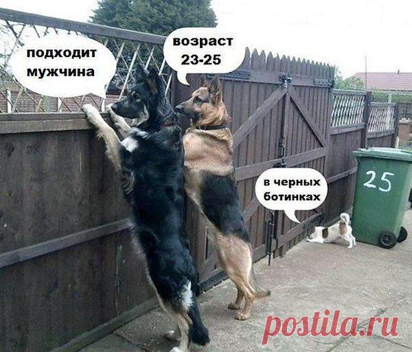 Наталья: Если ты противница покоя, значит ты пока что молода. И покуда верится, что можешь одолеть любой крутой подъем, ты на 10 лет моложе возраста, что в паспорте твоем.