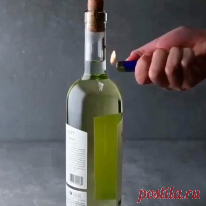 Как открыть бутылку вина без штопора | Журнал Популярная Механика