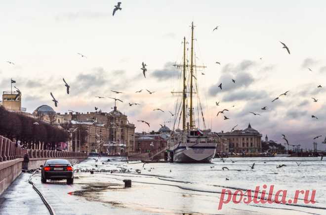 Ваши фото: набережная / Фото дня / Моя Планета