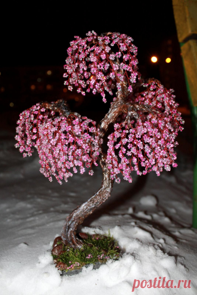 biser.info_54640_sakura-kaskad_1323007402.jpg (1067×1600)